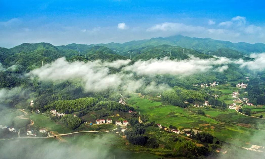 1602563088694334.jpg d8381d34220a4db38f14f933483420cf_副本.jpg